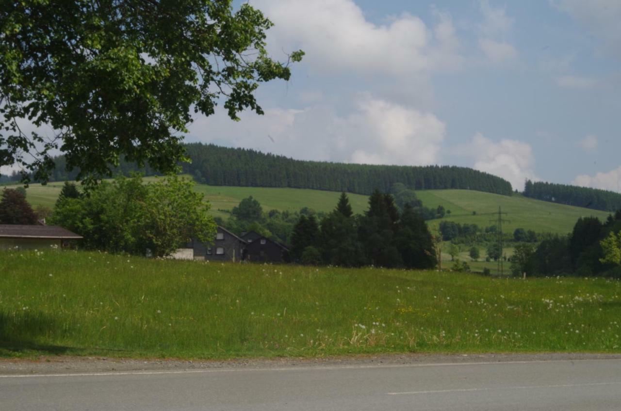 Das Gelbe Haus 3 Apartment Winterberg Exterior photo